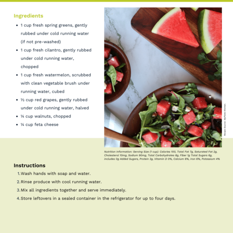 Handout - Melons - Refreshing Watermelon Salad Recipe