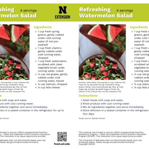Handout - Melons - Refreshing Watermelon Salad Recipes