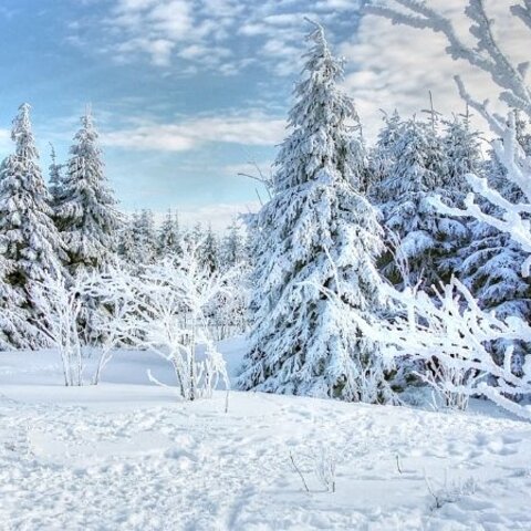 Winter Food & Fitness