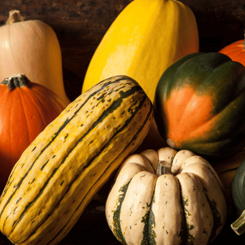Winter Squash