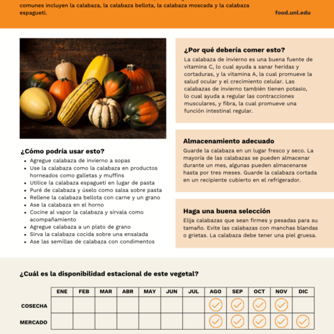 Handout - Winter Squash - Spanish