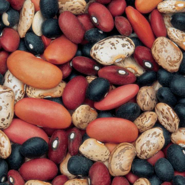 assorted dry beans for cooking from scratch