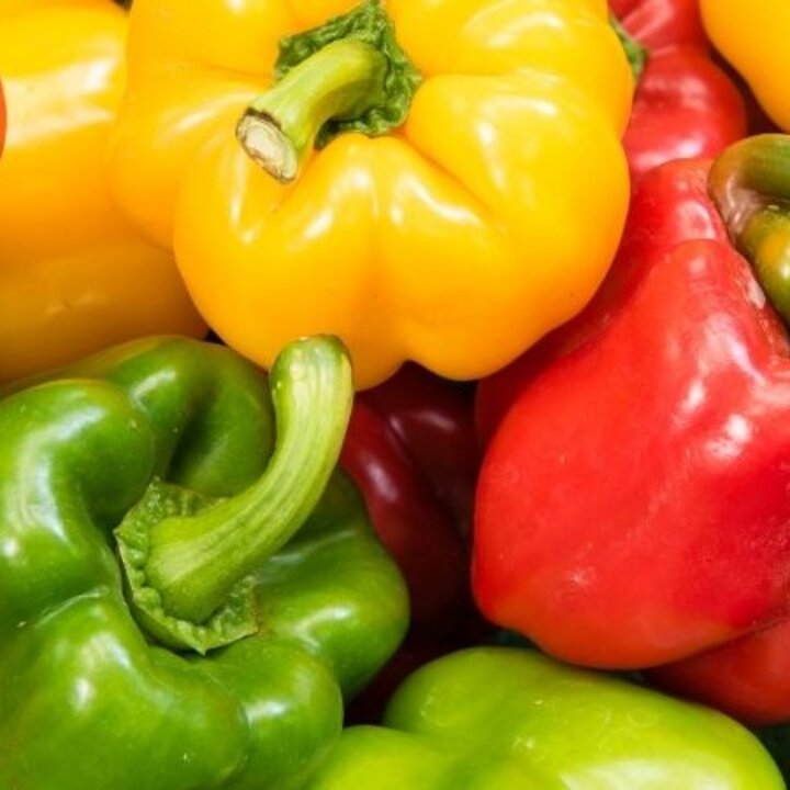 Colorful Bell Peppers