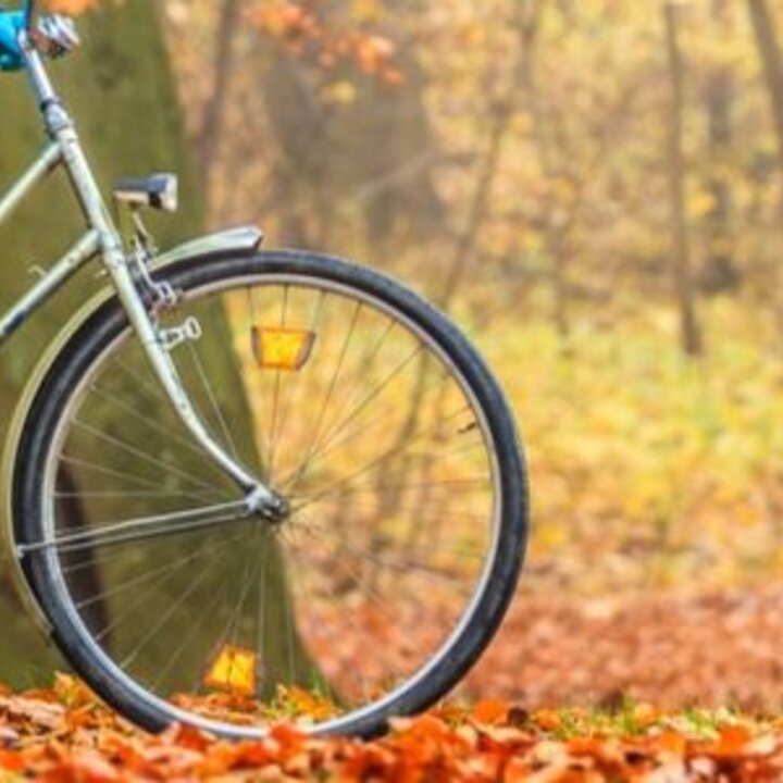 Biking in the Fall