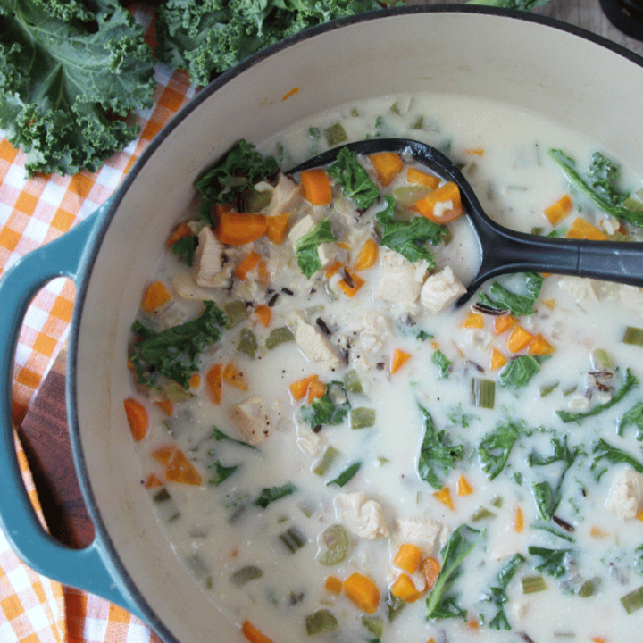 Chicken and rice soup in a pot