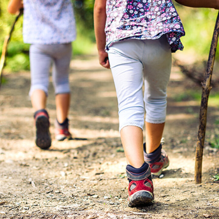 children hiking in the forest
