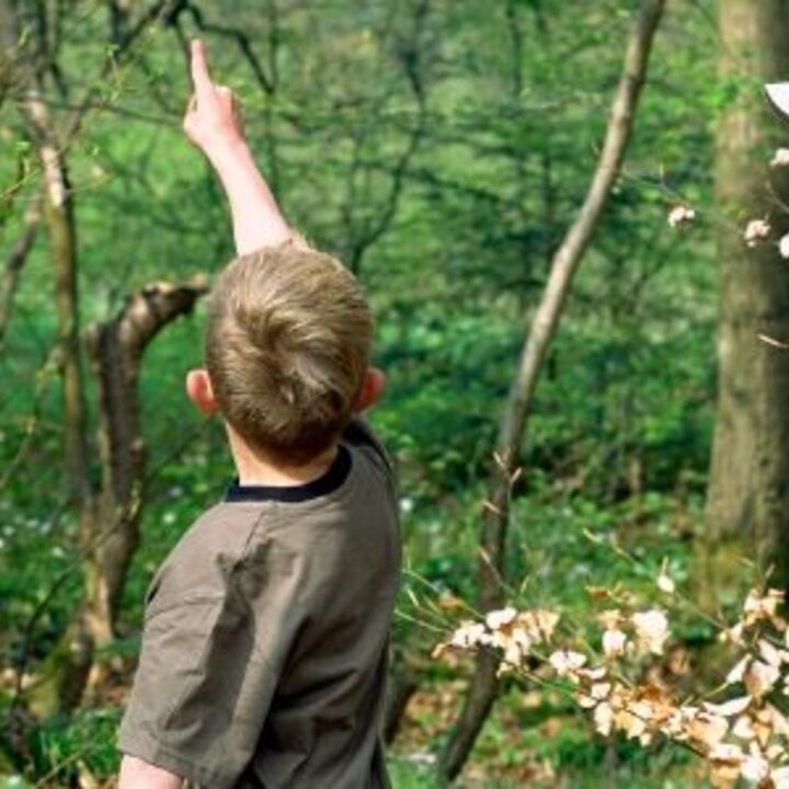 children-hiking