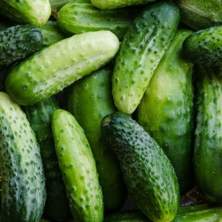 cucumbers and dill