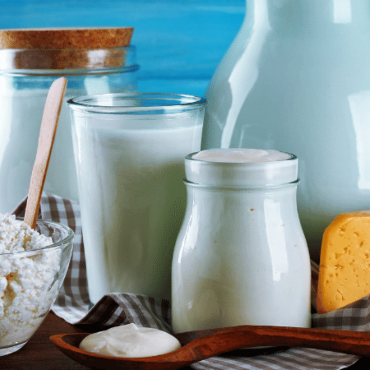 variety of dairy foods such as milk, yogurt, and cheese