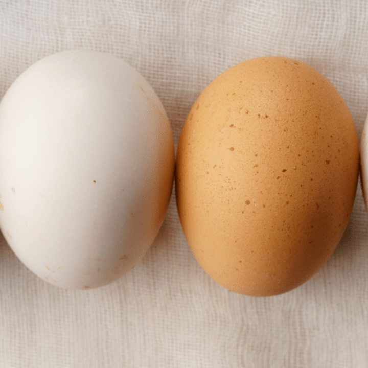 white and brown eggs on a table