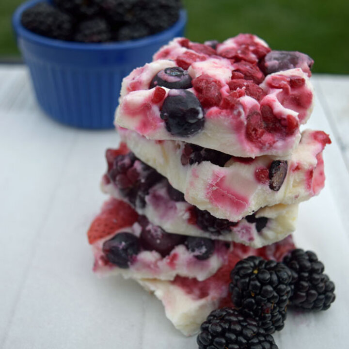 festive fruit bark