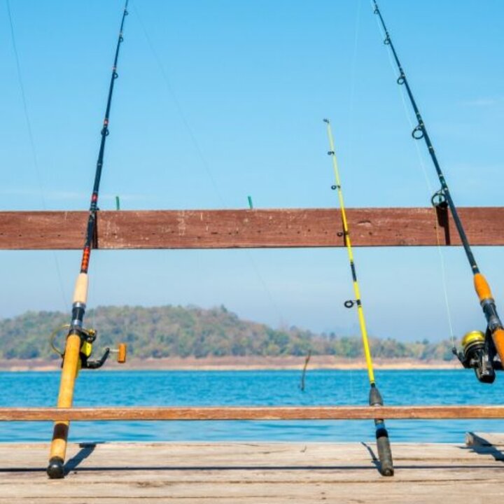 fishing poles and water