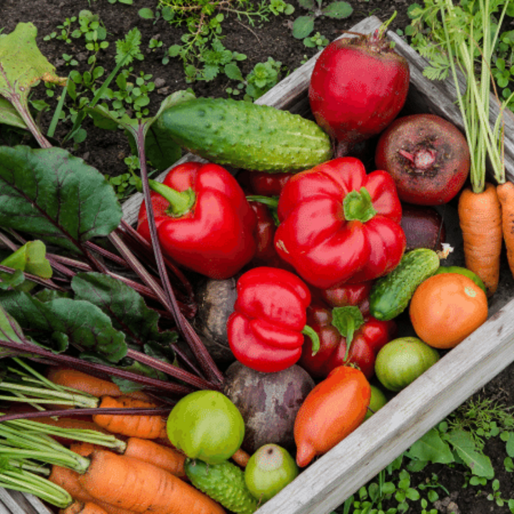 vegetables in a garden