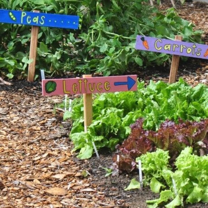 garden with greens and signs