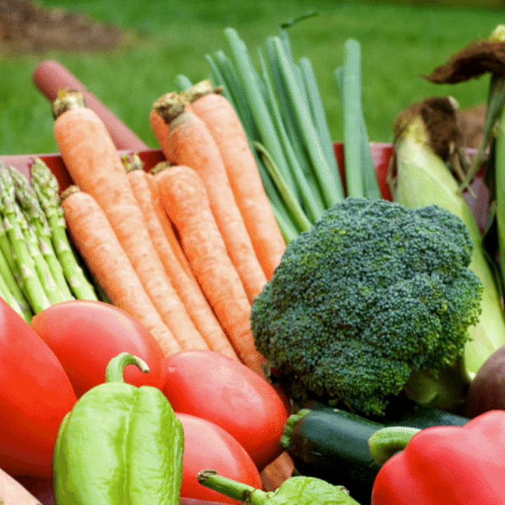 summer vegetable gardening with asparagus, carrots, broccoli, corn, tomatoes, and peppers