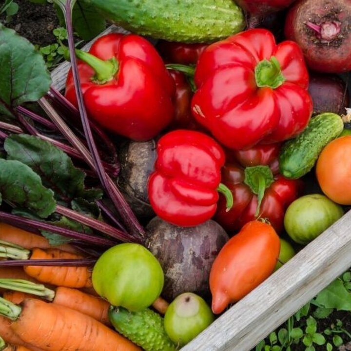 garden vegetables