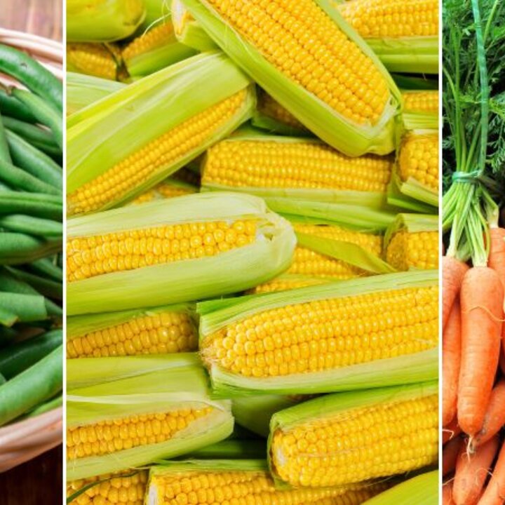 green beans, corn, carrots