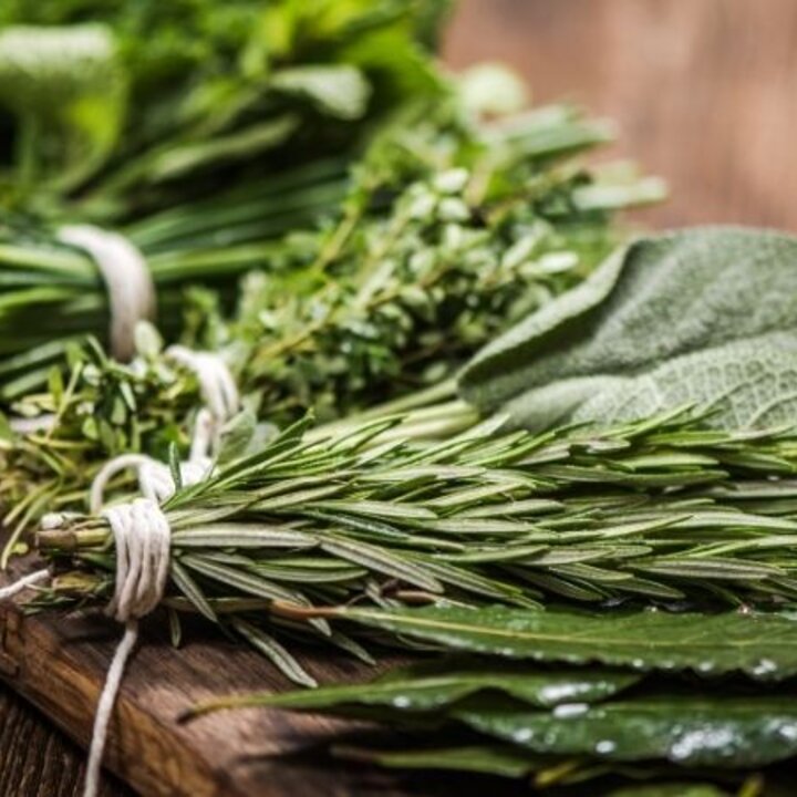 fresh green herbs