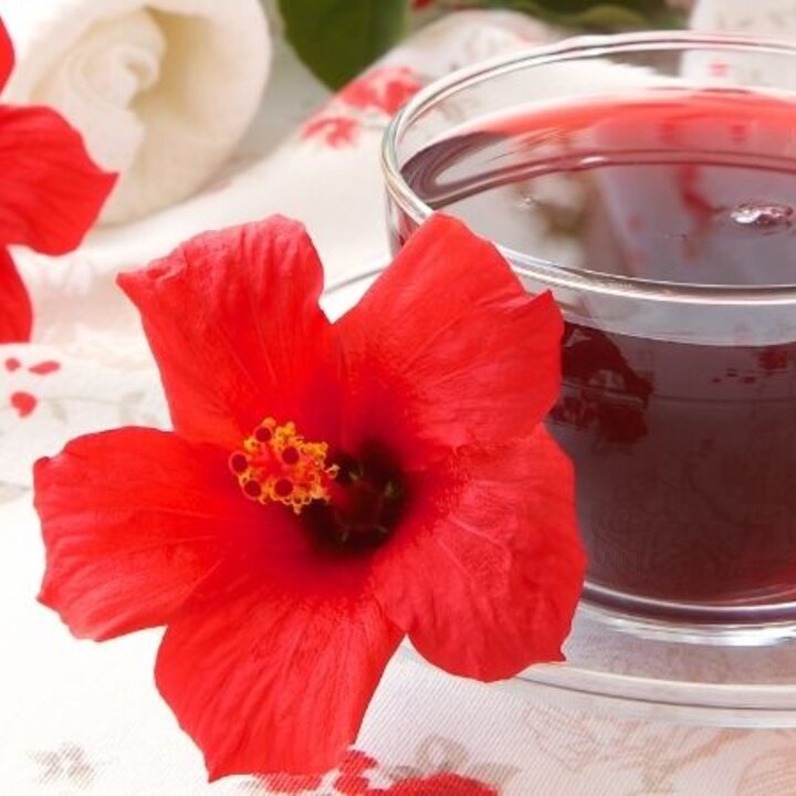 hibiscus tea