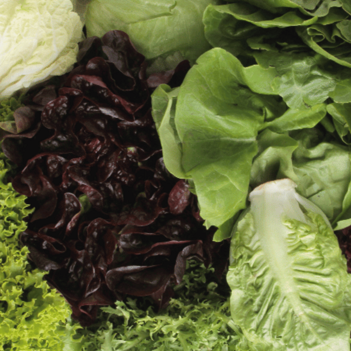 variety of leafy salad greens