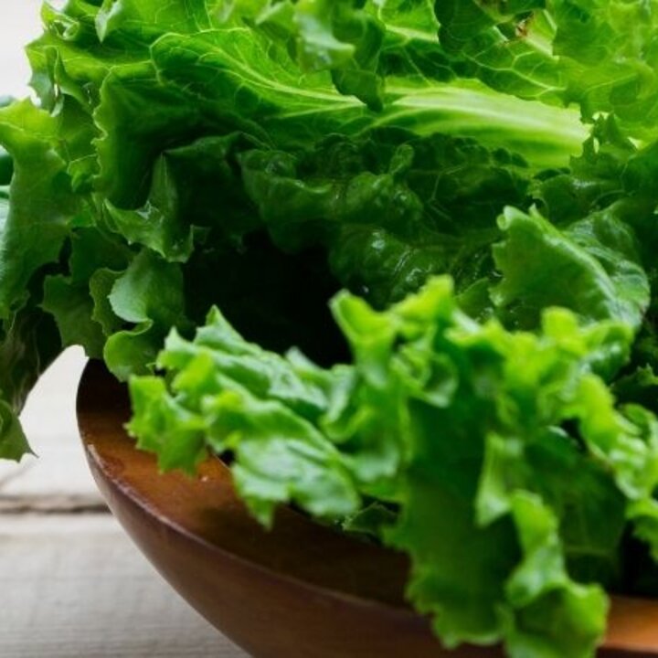 lettuce in a bowl