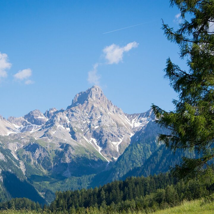 mountains and trees