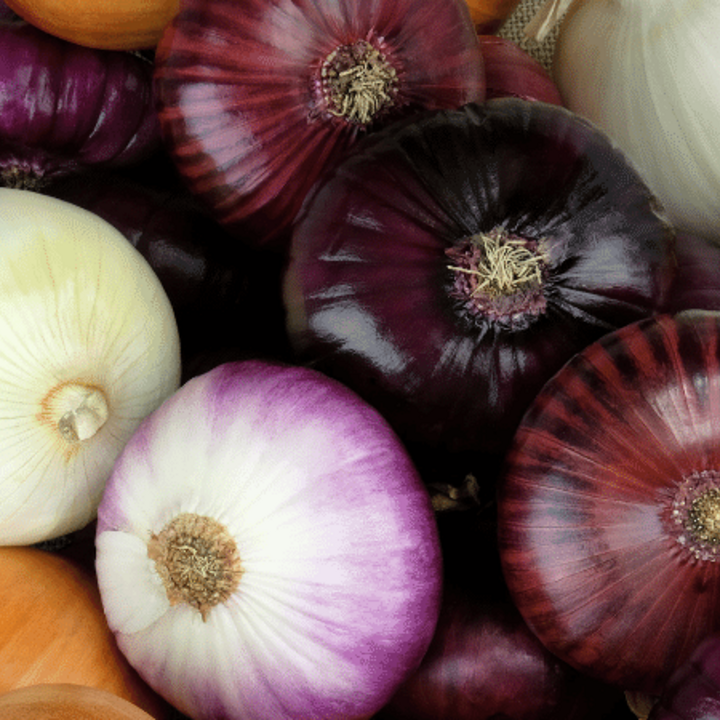 variety of onions
