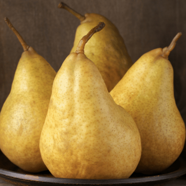 pears on a plate