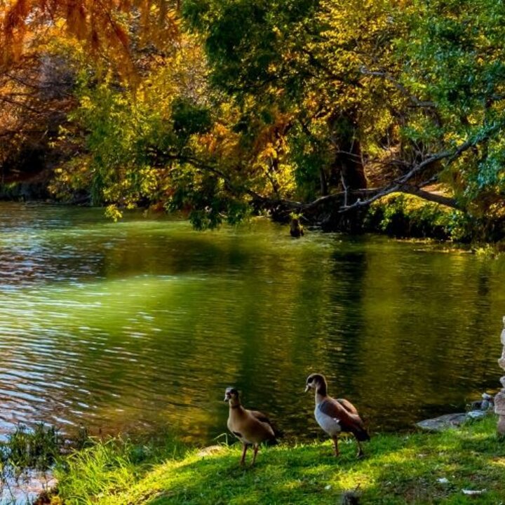 fall-picnic