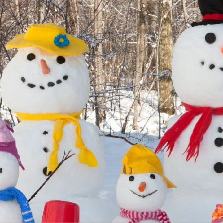 Snow Family