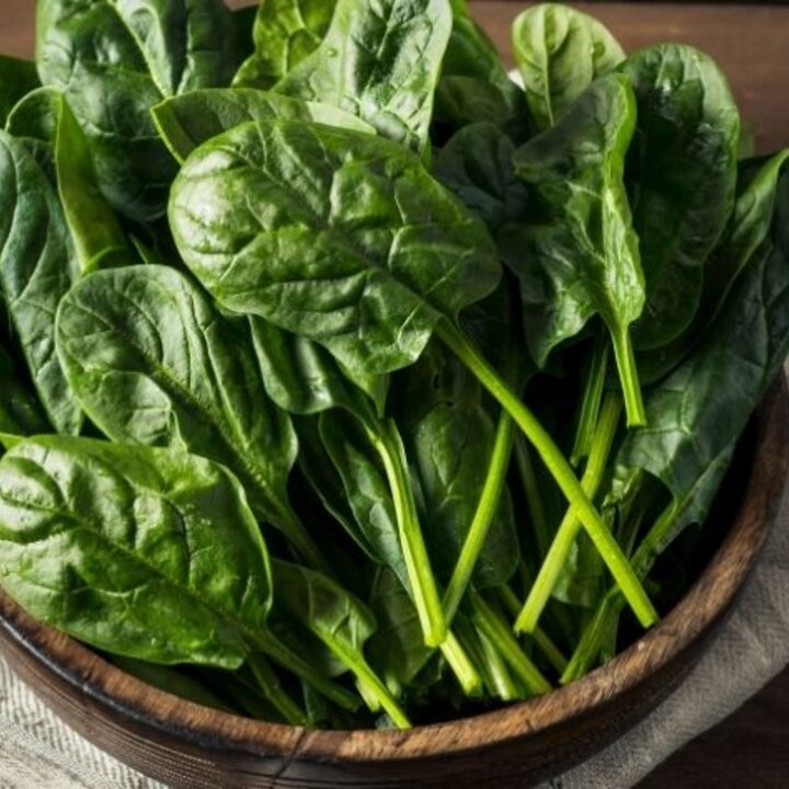 spinach in a bowl