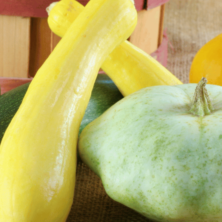 assorted summer squash