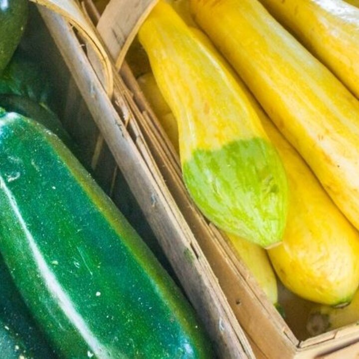 zucchini and yellow summer squash