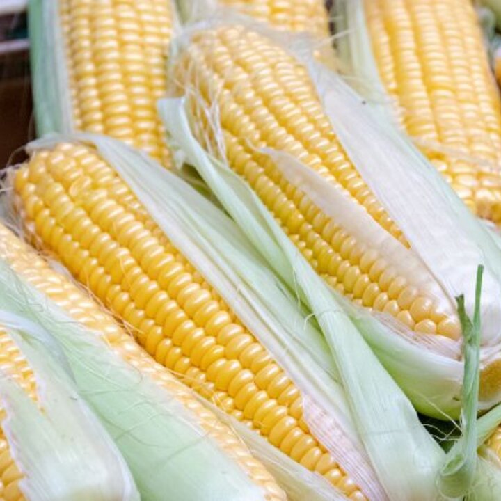 sweet corn on the cob