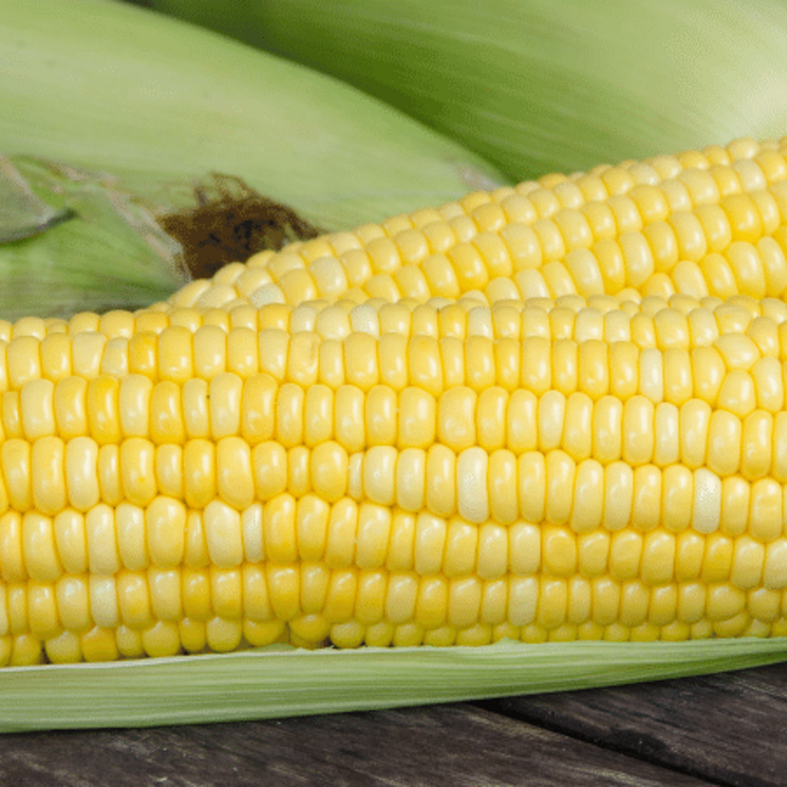 sweet corn on a table