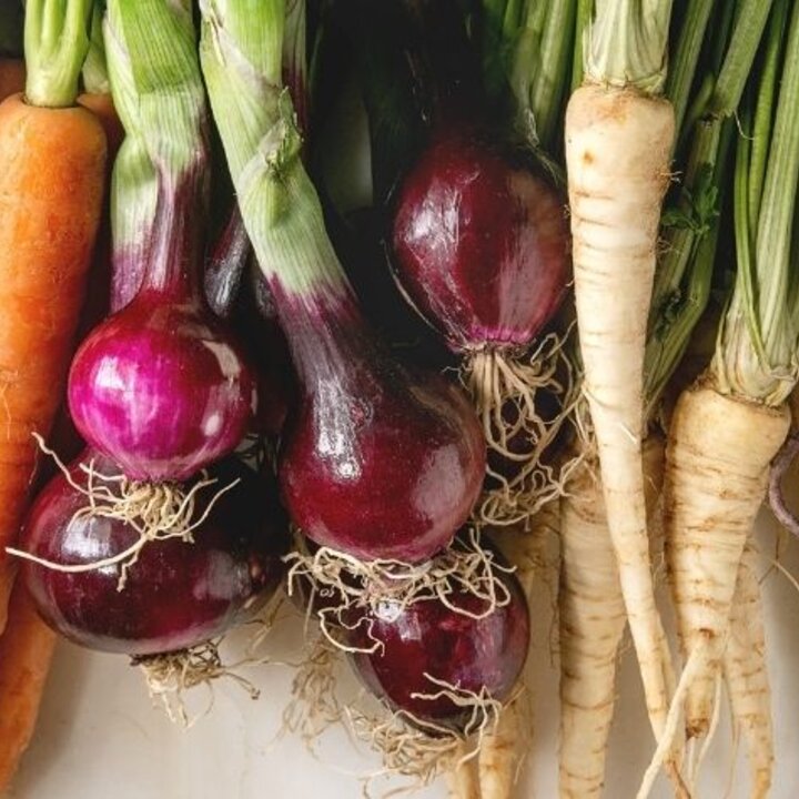 variety of root vegetables