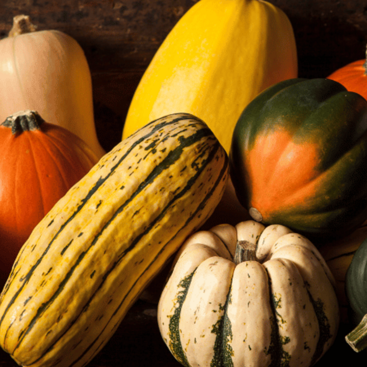 assorted winter squash