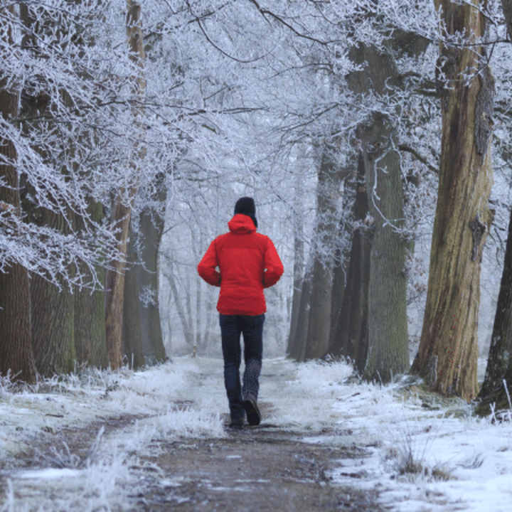 person walking on a winter day