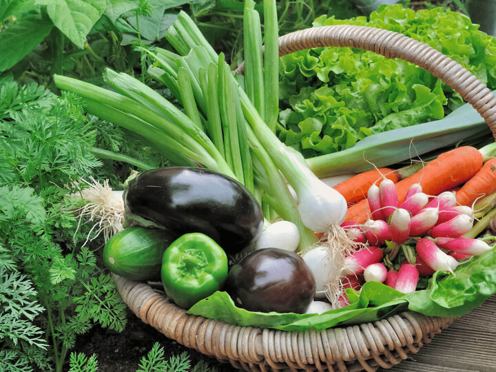 Basket of fresh vegetables.