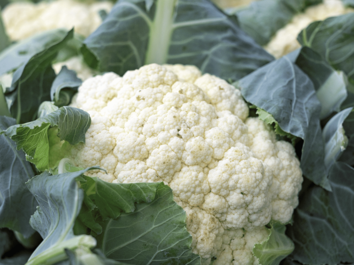 cauliflower