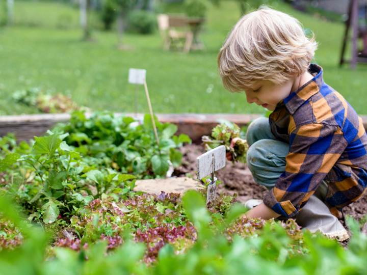 kid gardening