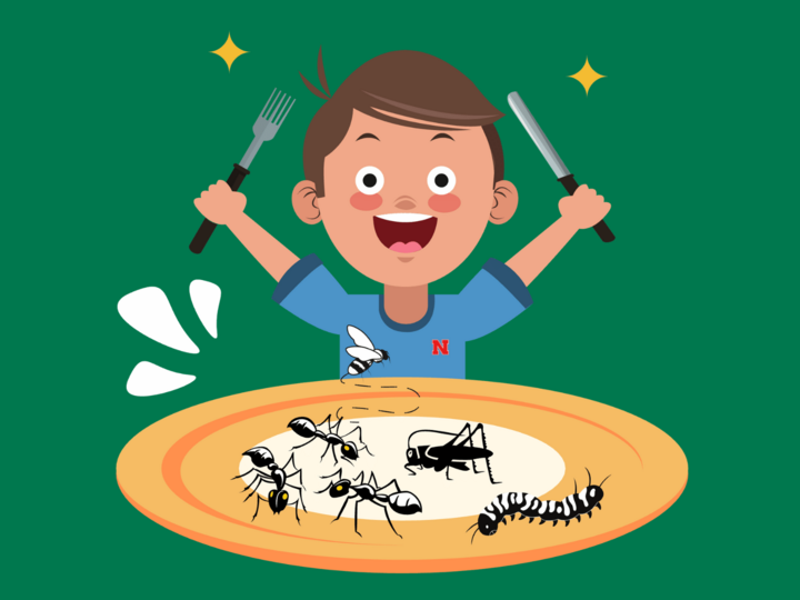 logo for Insects, Food, and You