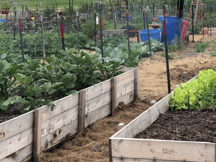 raised garden beds for the Growing Together Nebraska program