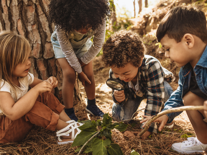 kids exploring nature