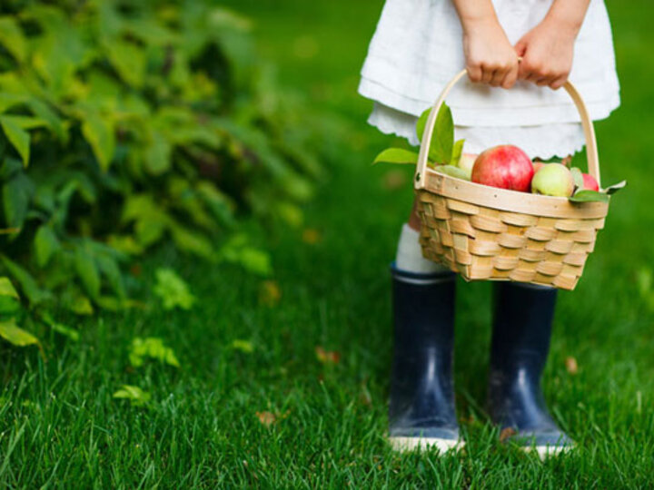 girl wearing rainboots holding a basket of apples outside