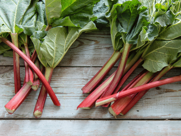 rhubarb