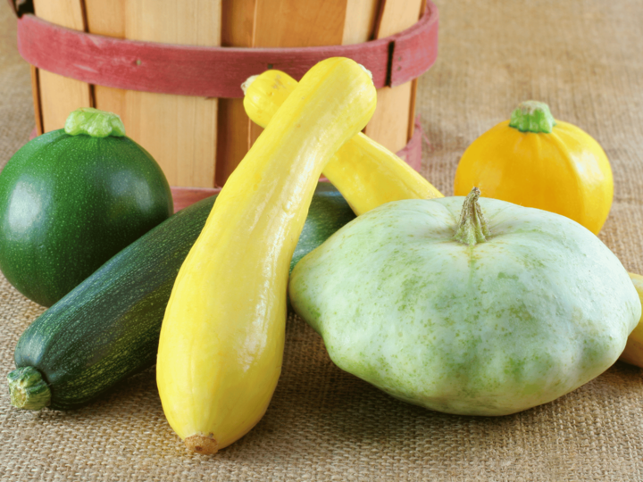 variety of summer squash