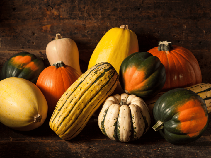 variety of winter squash