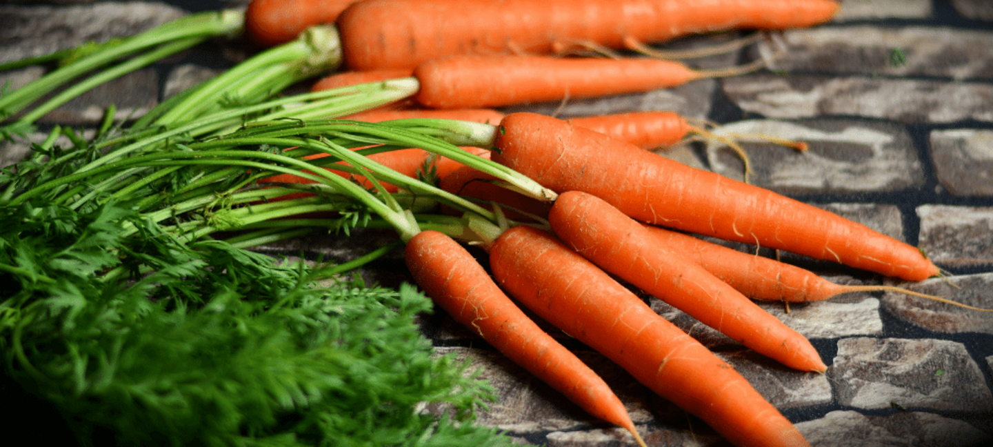 Fresh carrots