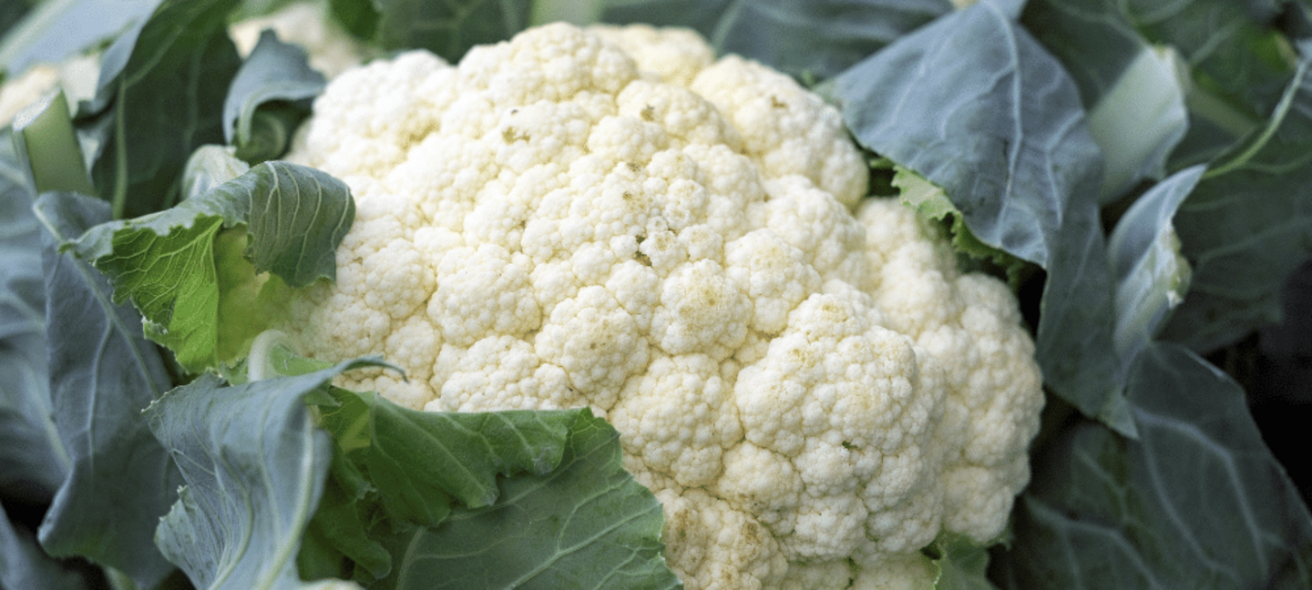 cauliflower